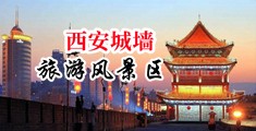 大鸡巴操熟女中国陕西-西安城墙旅游风景区